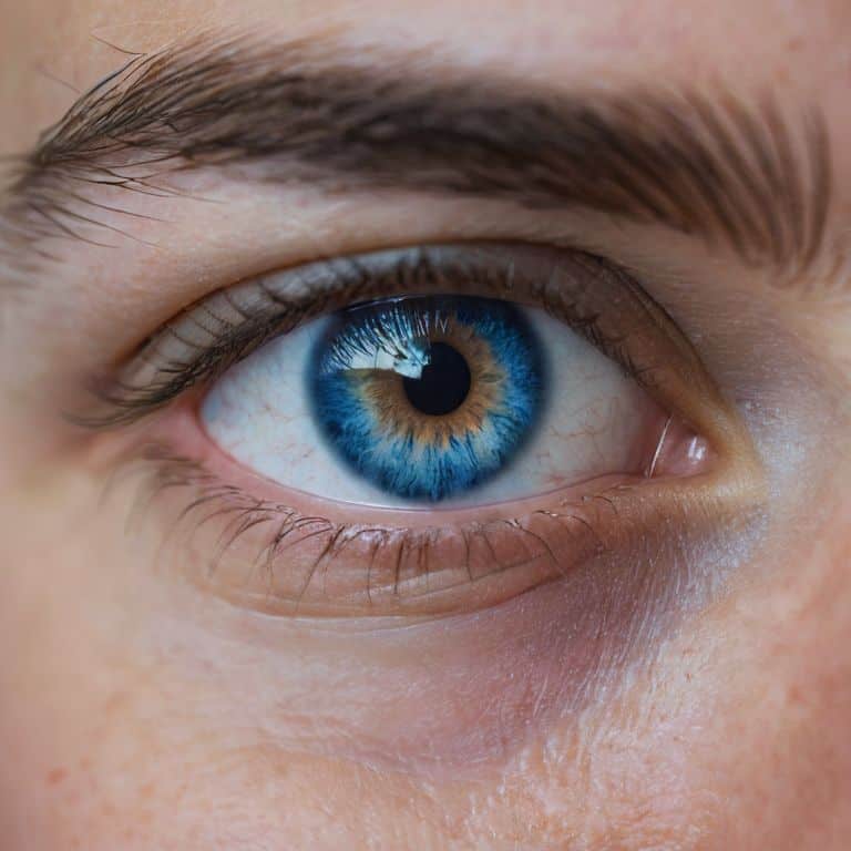 Navigating Eye Color Legacy